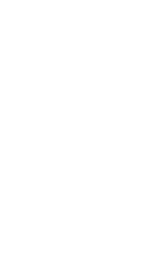 IMGReplay Federation Small Logo: world_rugby_archive