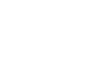 IMGReplay Championship Logo: motogp